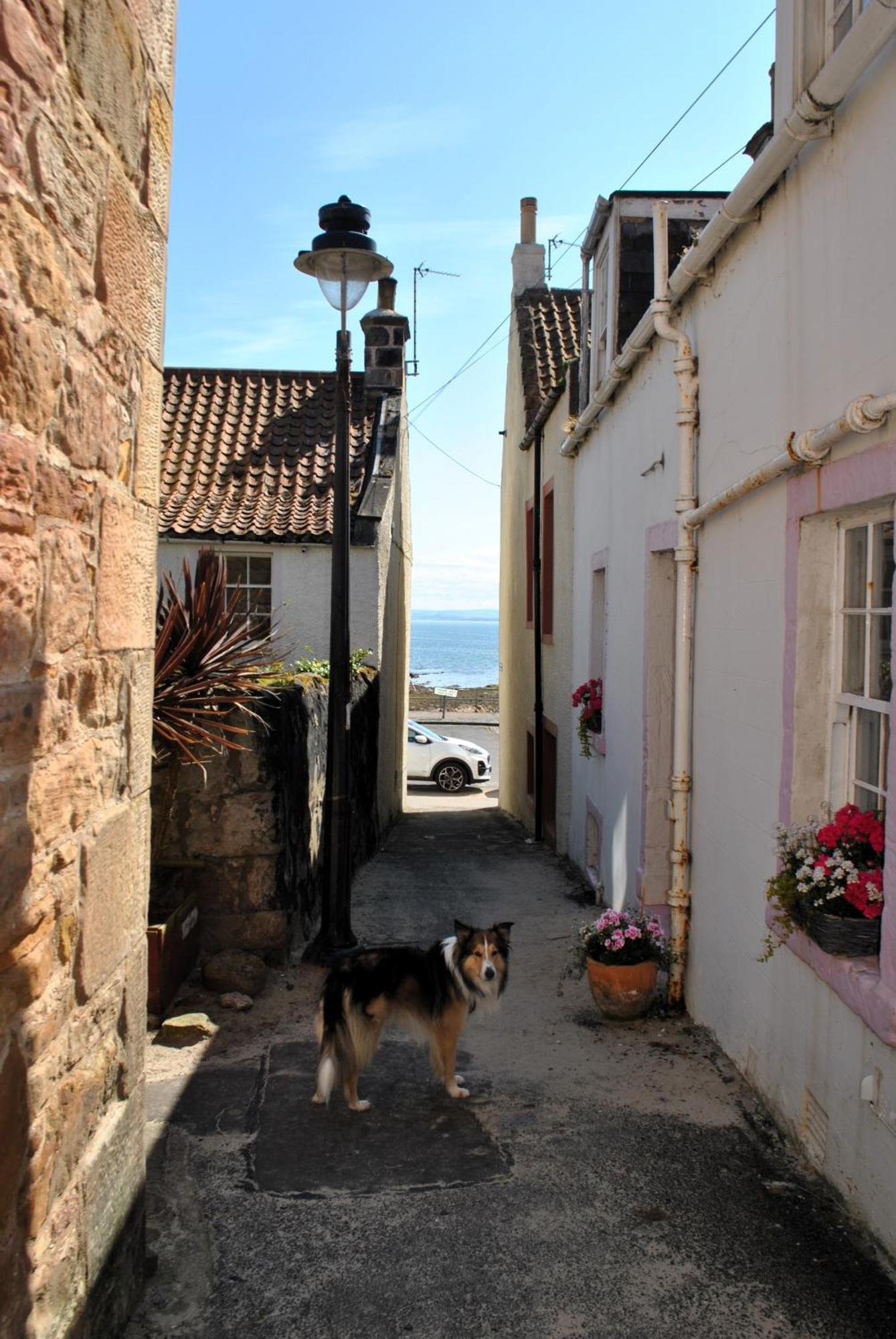 Dookers Nook- Quirky Coastal
